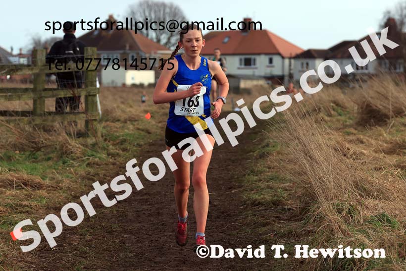 Senior Womens 2024 Northern Cross Country Champs., Sedgefield. Photo: David T. Hewitson/Sports for All Pics